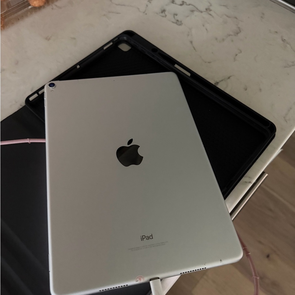 Apple iPad in Sleek Silver